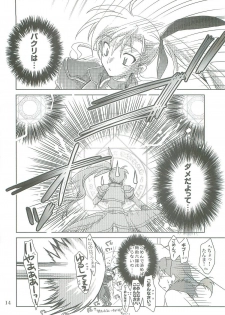 (COMIC1☆2) [PLUM (Kanna)] Mahou Shoujo Magical SEED LOGIC (Mahou Shoujo Lyrical Nanoha) - page 14