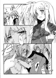 [IzumuNizm (Noshi)] yh - a tail of hayate. (Mahou Shoujo Lyrical Nanoha Strikers) - page 19