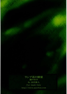 [Gin no Hoshitei] Lamp-bana no Seirei - page 22