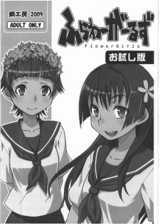 [Hagane Koubou] Flower Girls Otameshiban (Toaru Kagaku no Railgun)