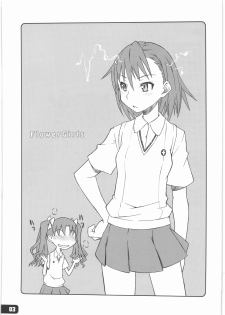 [Hagane Koubou] Flower Girls (Toaru Kagaku no Railgun) - page 2