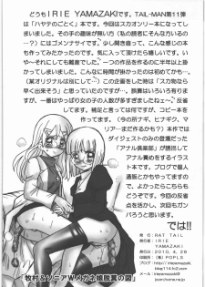 (COMIC1☆4) [RAT TAIL (Irie Yamazaki)] TAIL-MAN HAYATE BOOK (Hayate no Gotoku!) - page 33
