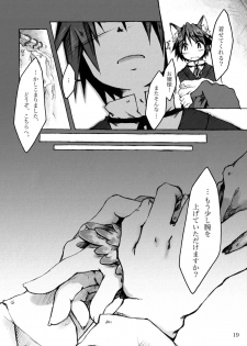 (C78) [KinderGarten21] KinderGarten21 Sairokuhon 5 - page 19