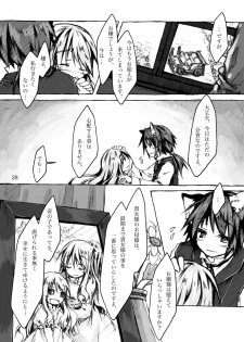(C78) [KinderGarten21] KinderGarten21 Sairokuhon 5 - page 28