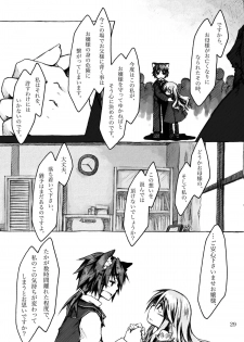 (C78) [KinderGarten21] KinderGarten21 Sairokuhon 5 - page 29
