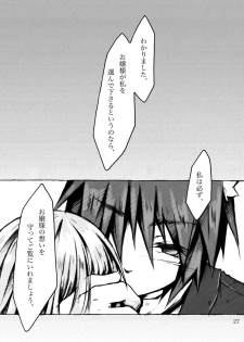 (C78) [KinderGarten21] KinderGarten21 Sairokuhon 5 - page 27
