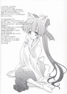 (C67) [Fukunoren (Yukiwo)] illuminati (Tsukiyomi Moon Phase) - page 3
