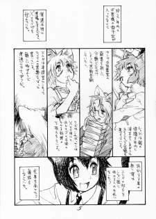 (C69) [Ryuutai Rikigaku (Akio Takami)] BERRYs 512 - page 4