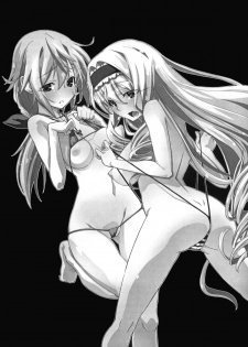 (COMIC1☆5) [Miyanchi (Miyagoe Yoshitsuki)] InfiniteDiplomacy (Infinite Stratos) - page 2