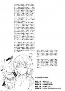 (COMIC1☆5) [Goromenz (Yasui Riosuke)] PRINCESS MAKER (Infinite Stratos) - page 21