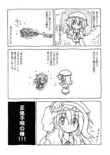 (SC49) [Nanashino Juujiseidan (Nanashino Souta)] Hibu ni Fuu suru Kiken na Asobi (Touhou Project) - page 3