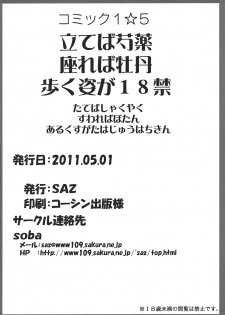 (COMIC1☆5) [SAZ (soba)] Tateba Shakuyaku Suwareba Botan Aruku Sugata wa 18kin (Toaru Majutsu no Index) - page 24