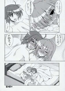 [SYAMISEN KOUBOU] HYBRID RAINBOW (Mahou Shoujo Lyrical Nanoha) - page 19