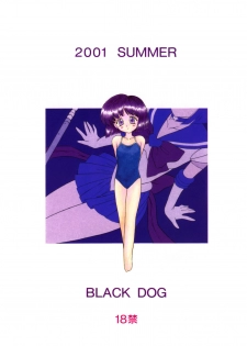 (C60) [Black Dog (Kuroinu Juu)] Atom Heart Father (Bishoujo Senshi Sailor Moon) - page 34