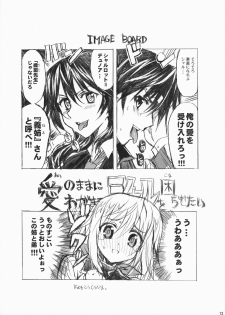 (COMIC1☆5) [Neko-bus Tei, Studio TRC, Black Shadow] OH!MY PIGS (Infinite Stratos) - page 12