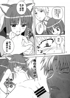 [Circle Credit (Benjamin, Akikan, Muichimon, NAL)] Ookami to Mimi to Shippo (Spice and Wolf) - page 27