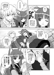 [Circle Credit (Benjamin, Akikan, Muichimon, NAL)] Ookami to Mimi to Shippo (Spice and Wolf) - page 25