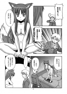 [Circle Credit (Benjamin, Akikan, Muichimon, NAL)] Ookami to Mimi to Shippo (Spice and Wolf) - page 13