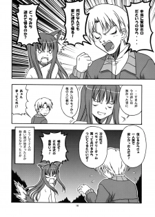 [Circle Credit (Benjamin, Akikan, Muichimon, NAL)] Ookami to Mimi to Shippo (Spice and Wolf) - page 15