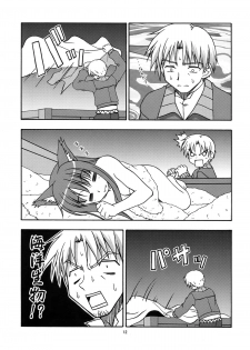 [Circle Credit (Benjamin, Akikan, Muichimon, NAL)] Ookami to Mimi to Shippo (Spice and Wolf) - page 11