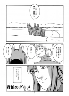 [Circle Credit (Benjamin, Akikan, Muichimon, NAL)] Ookami to Mimi to Shippo (Spice and Wolf) - page 16