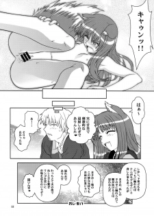 [Circle Credit (Benjamin, Akikan, Muichimon, NAL)] Ookami to Mimi to Shippo (Spice and Wolf) - page 30