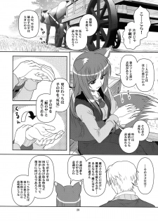 [Circle Credit (Benjamin, Akikan, Muichimon, NAL)] Ookami to Mimi to Shippo (Spice and Wolf) - page 26