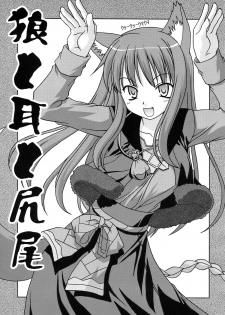 [Circle Credit (Benjamin, Akikan, Muichimon, NAL)] Ookami to Mimi to Shippo (Spice and Wolf) - page 3