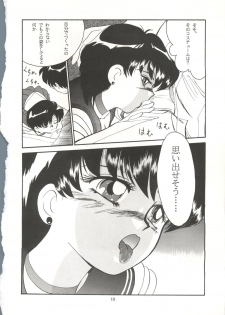 [T2 UNIT, RyuukiSya, Sakura ROC (Various)] LUNATIC ASYLUM (Sailor Moon) - page 18