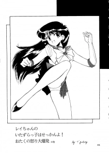 [T2 UNIT, RyuukiSya, Sakura ROC (Various)] LUNATIC ASYLUM (Sailor Moon) - page 45