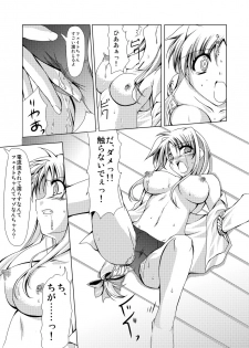(C74) [TRICKorTREAT (Kagura Tsukune)] InSulT II (Mahou Shoujo Lyrical Nanoha) - page 14