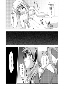 (C74) [TRICKorTREAT (Kagura Tsukune)] InSulT II (Mahou Shoujo Lyrical Nanoha) - page 24