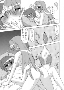 [Syamisen Koubou (Koishikawa)] HYBRID RAINBOW (Mahou Shoujo Lyrical Nanoha) - page 14