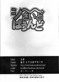 (COMIC1☆5) [Aa, Warera Katou Hayabusa Sentotai (Katou)] Sea~side Bound (Original) - page 17