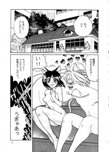 (C45) [Shounen Yuuichirou (Various)] Shounen Yuuichirou Vol. 11 (Bishoujo Senshi Sailor Moon) - page 4