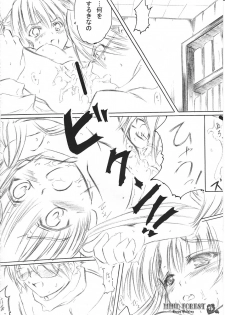 [HappyBirthday (Maru-chan.)] MIND FOREST (Rozen Maiden) - page 15