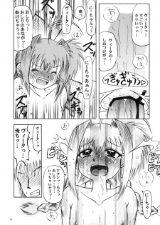 [Akachi] Vita AF (Mahou Shoujou Lyrical Nanoha) - page 15