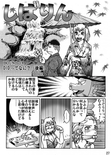 [Rojiurakan] Shibarin - page 27