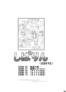 [Rojiurakan] Shibarin - page 46