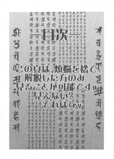 [From Japan] Seiiki Naki Jukujuku Kaikaku III (Neon Genesis Evangelion) - page 3