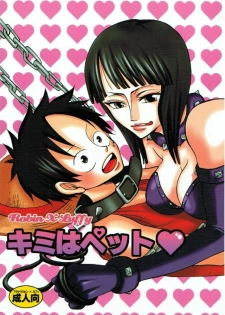 (C66) [PINK STAR (Urazawa Kaoru)] Kimi wa Pet (One Piece) - page 1