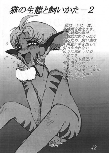 [G-TWO UNIT Reika-dou (Baron Mori)] MOVA FILE 3 - Hitomi! Diamond!! (The Vision of Escaflowne) - page 41