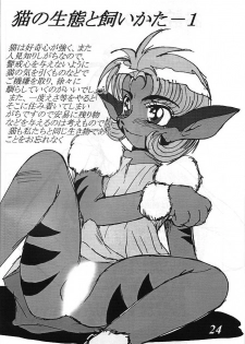 [G-TWO UNIT Reika-dou (Baron Mori)] MOVA FILE 3 - Hitomi! Diamond!! (The Vision of Escaflowne) - page 23