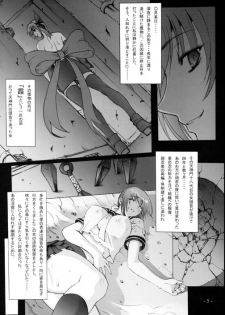 (C71) [Wolkenkratzer (Bontenkarasu)] Decadence2 (Dead or Alive) - page 4