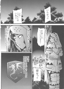 (C80) [Aodouhu (Neromashin)] Hunter farm (Monster Hunter) - page 23