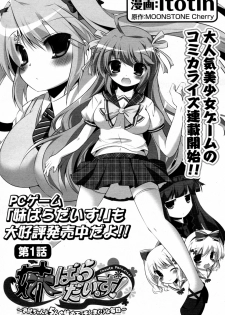 [itotin] Imouto Paradise! (Complete) - page 1