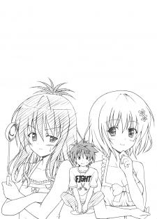 (C80) [TORA MACHINE (Kasukabe Taro)] Kindan no Mikan Vol. 1 (To LOVE-Ru) - page 40