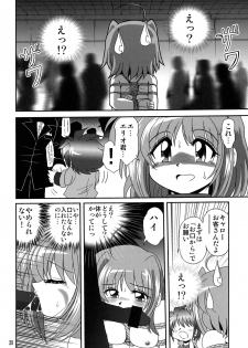 [Thirty Saver Street 2D Shooting] Storage Ignition 6 (Mahou Shoujo Lyrical Nanoha) - page 19