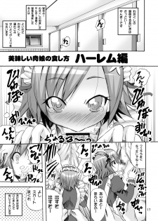 (C80) [PH (TAM)] Oishii Niku Musume no Shokushi kata (Boku wa Tomodachi ga Sukunai) - page 17