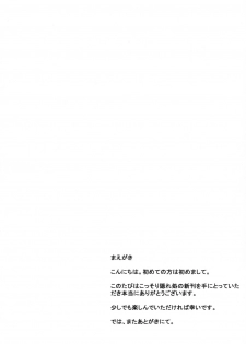 (C80) [Kossorikakuredokoro (Island)] Nano Hana! ver.Q -scene of NANOHA- (Magical Girl Lyrical Nanoha) - page 3